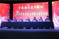 万通乐橙游戏官网控股集团召开2016年度表彰大会暨迎春联欢会