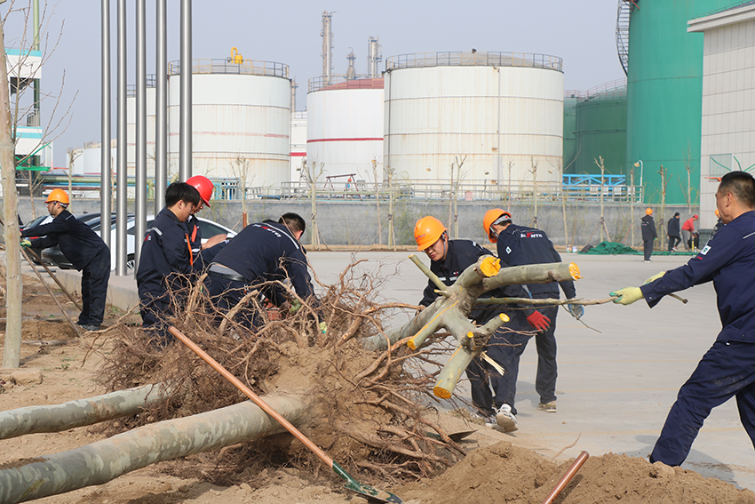 乐橙游戏官网热力积极开展厂区绿化活动